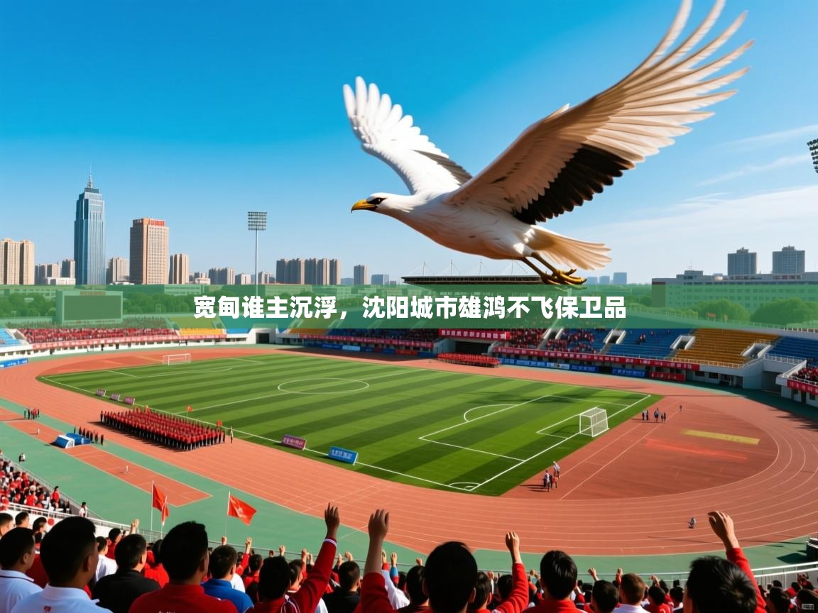 宽甸谁主沉浮，沈阳城市雄鸿不飞保卫品