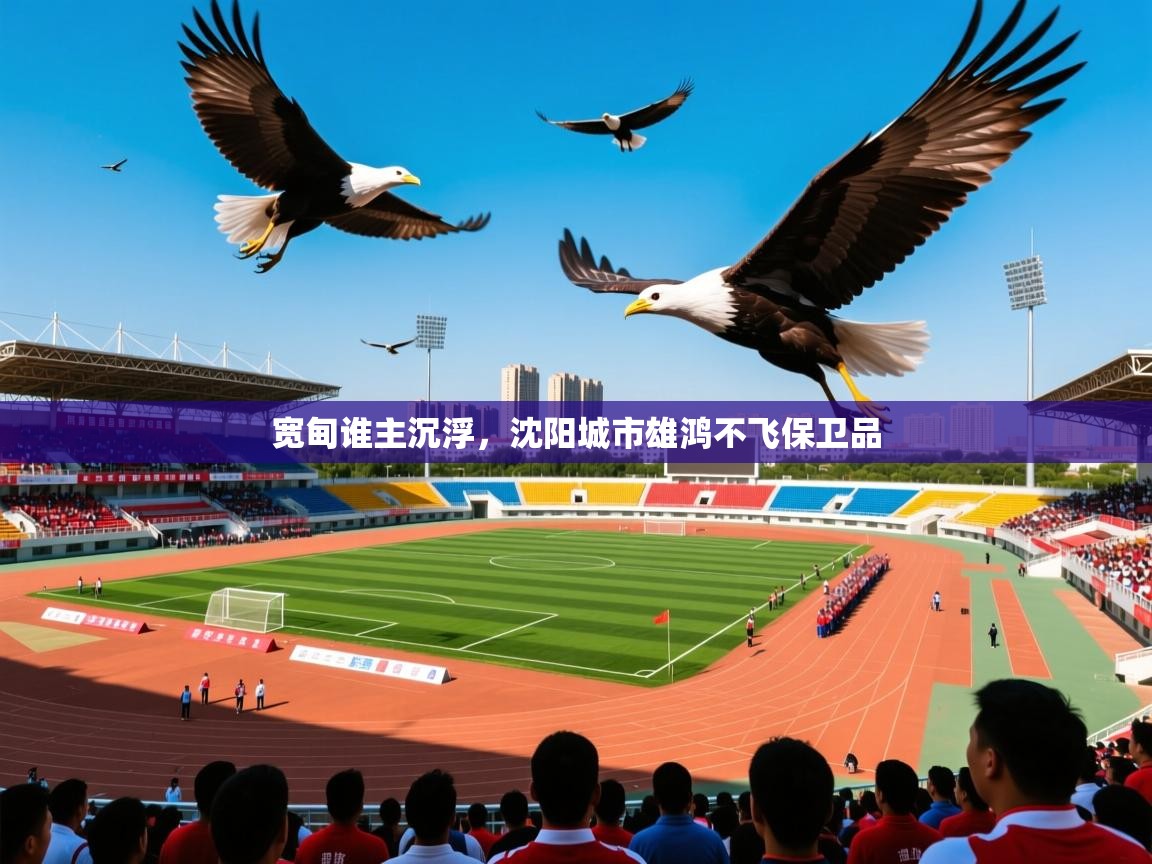 宽甸谁主沉浮，沈阳城市雄鸿不飞保卫品