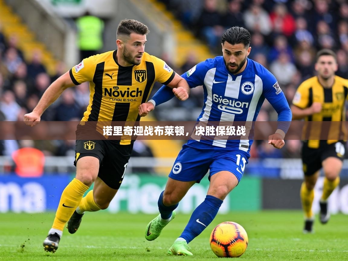 诺里奇迎战布莱顿，决胜保级战