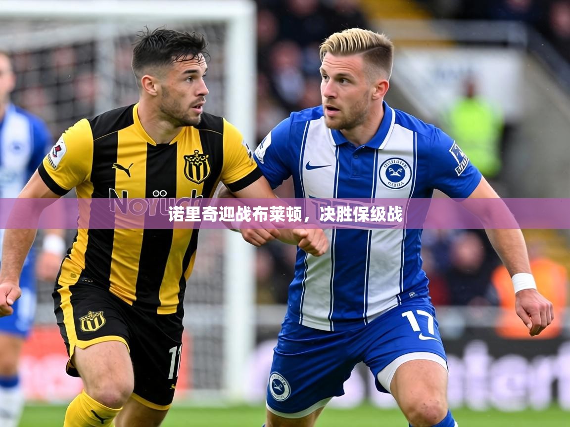 诺里奇迎战布莱顿，决胜保级战