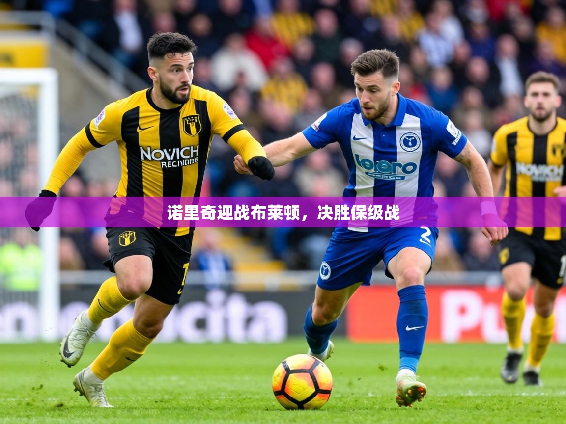 诺里奇迎战布莱顿，决胜保级战